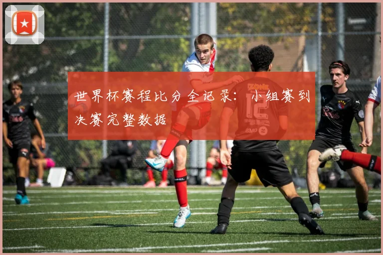 世界杯赛程比分全记录：小组赛到决赛完整数据
